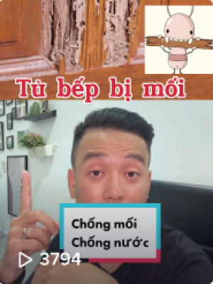 Giải pháp chống mối và nước